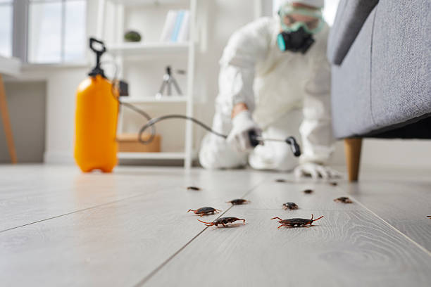 Commercial Kitchen Cockroach Control in Deans